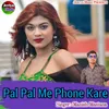 About Pal Pal Me Phone Kare Song